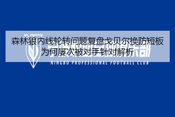 森林狼内线轮转问题复盘戈贝尔换防短板为何屡次被对手针对解析